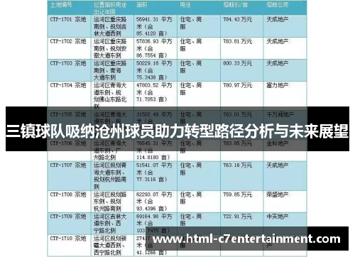 三镇球队吸纳沧州球员助力转型路径分析与未来展望