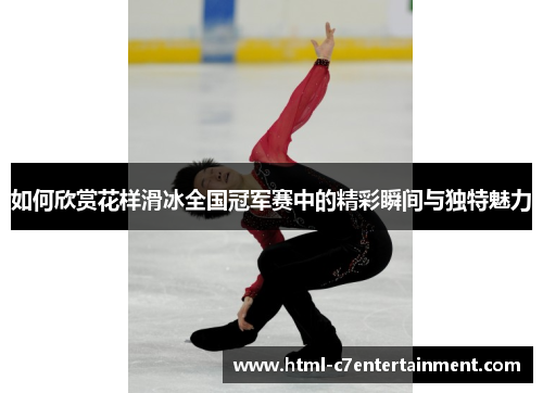 如何欣赏花样滑冰全国冠军赛中的精彩瞬间与独特魅力
