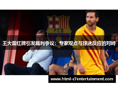 王大雷红牌引发裁判争议：专家观点与球迷反应的对峙
