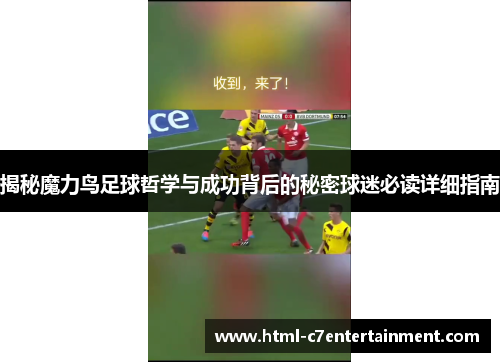 揭秘魔力鸟足球哲学与成功背后的秘密球迷必读详细指南