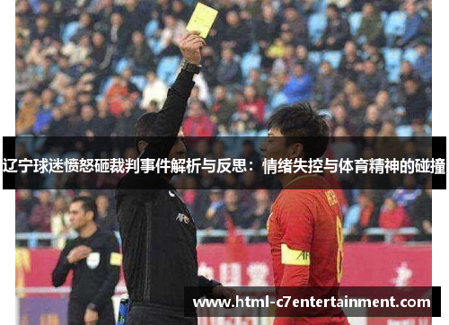 辽宁球迷愤怒砸裁判事件解析与反思:情绪失控与体育精神的碰撞