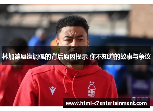 林加德屡遭调侃的背后原因揭示 你不知道的故事与争议