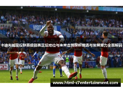 卡迪夫城现役联赛级别英足坛地位与未来走势探析境遇与发展潜力全面解码 卡迪夫城现役联赛级别英足坛地位与未来走势探析境遇与发展潜力全面解码