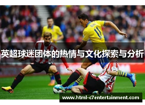英超球迷团体的热情与文化探索与分析